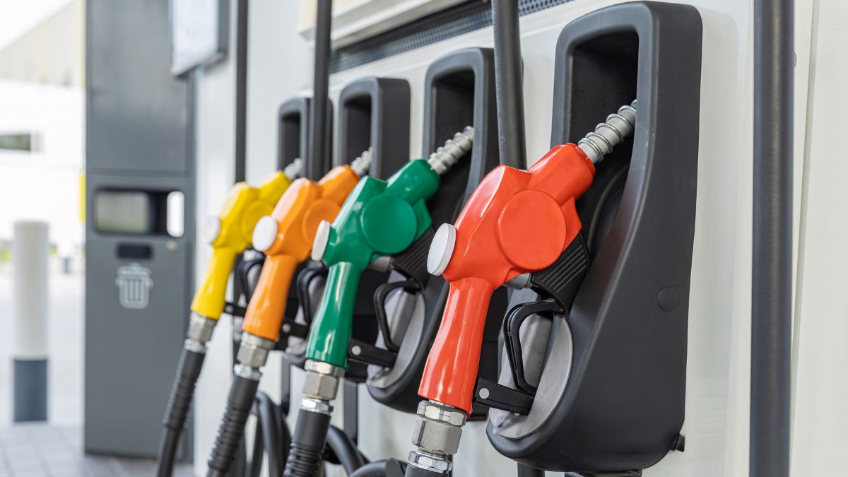 Social Security Update 2026 - COLA Payments And Service Changes Amid Global Uncertainty